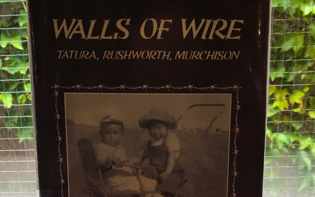 Image of Walls of Wire book, written by Joyce Hammond